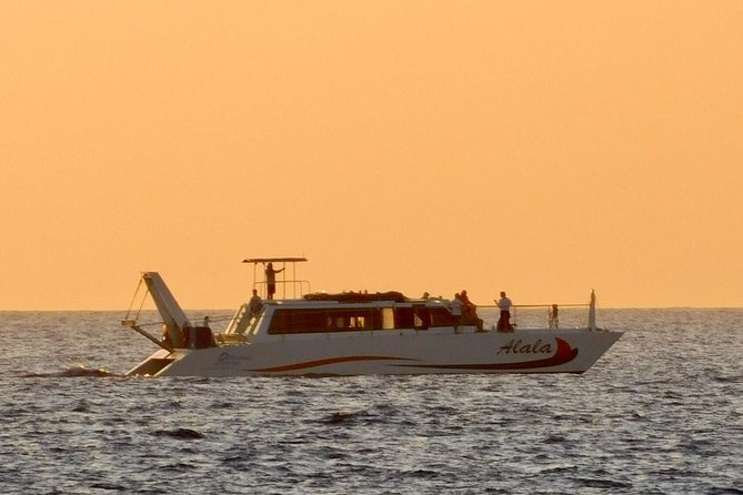 Sunset Cruise with the Whales on our Power Catamaran - Key things to know before you book