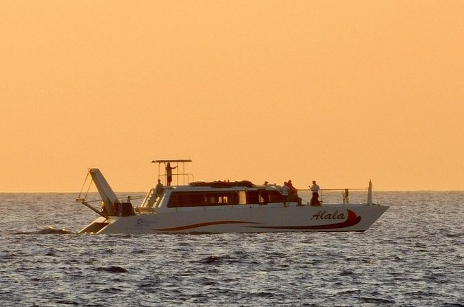 Sunset Cruise with the Whales on our Power Catamaran - Listening to whales with the hydrophone