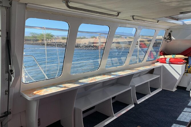 Sunset Cruise with the Whales on our Power Catamaran - What comes with the open bar