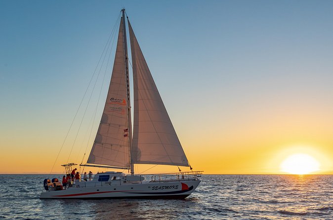 Sunset Cruise with the Whales on our Sailing Catamaran - Sunset views, flying fish, and the green flash