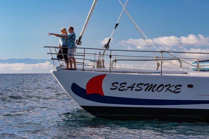 Sunset Cruise with the Whales on our Sailing Catamaran - Service, crew, and the overall mood
