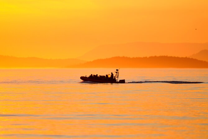 Sunset Whale and Wildlife Adventure in Cowichan Bay - Searching the Salish Sea for whales