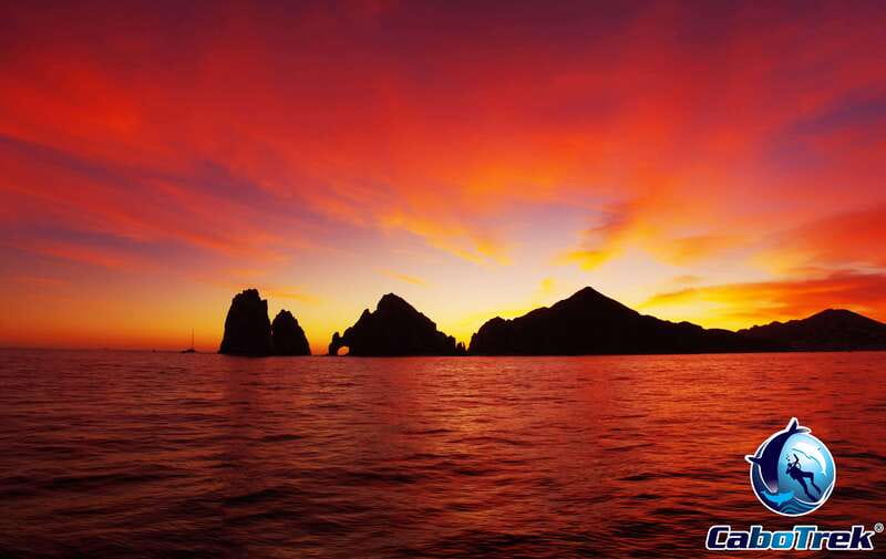 Sunset Whale Watching Cruise in Cabo San Lucas - Setting Out From Cabo’s Marina