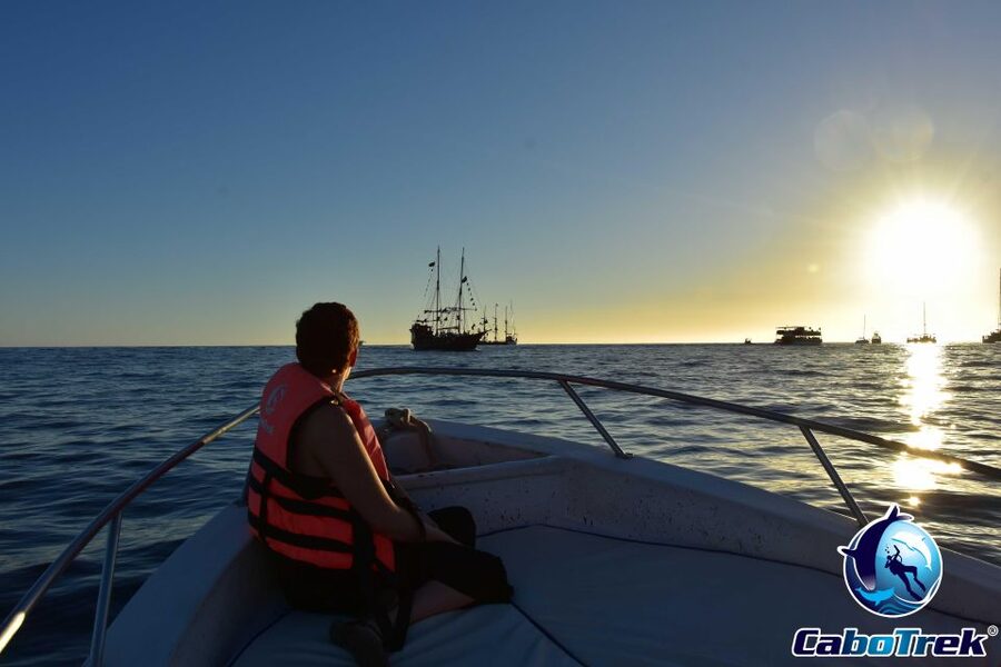Sunset Whale Watching Cruise in Cabo San Lucas - Sunset and the Cabo Arch