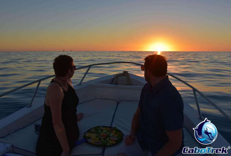 Sunset Whale Watching Cruise in Cabo San Lucas - Wine, Appetizers, and the Evening Pace