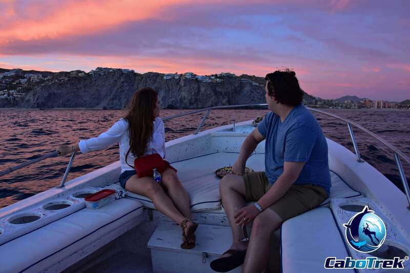 Sunset Whale Watching Cruise in Cabo San Lucas - How the $109 Price Measures Up