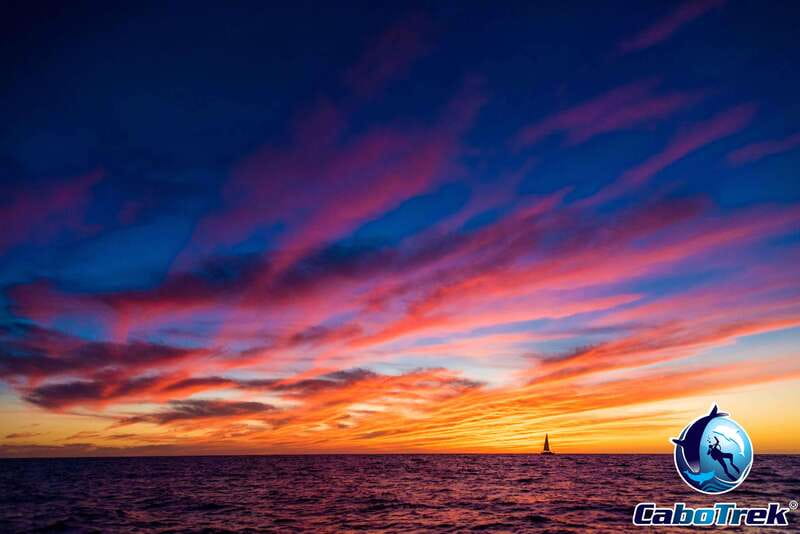 Sunset Whale Watching Cruise in Cabo San Lucas - Group Size, Languages, and Comfort