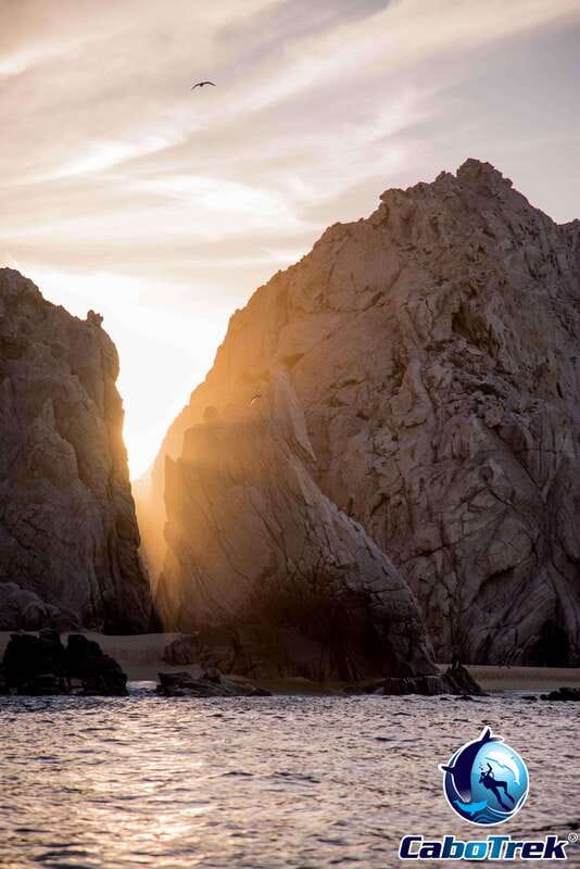 Sunset Whale Watching Cruise in Cabo San Lucas - Searching for Humpbacks as the Light Fades