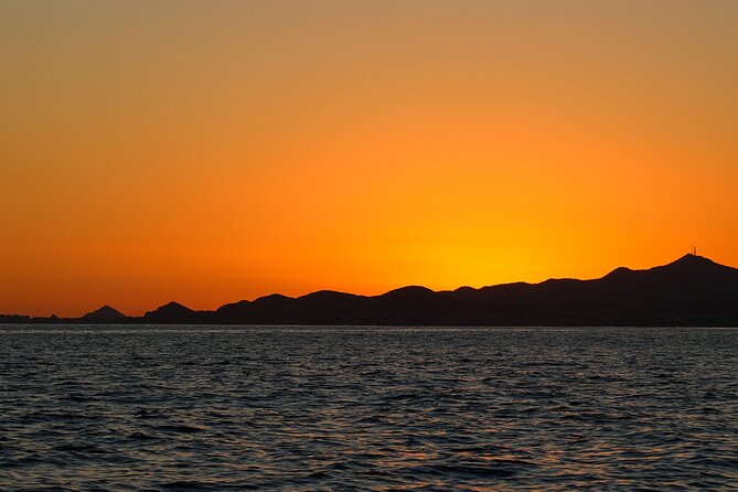 Sunset Whale Watching in San Jose del Cabo - Who will enjoy this San Jose del Cabo tour?