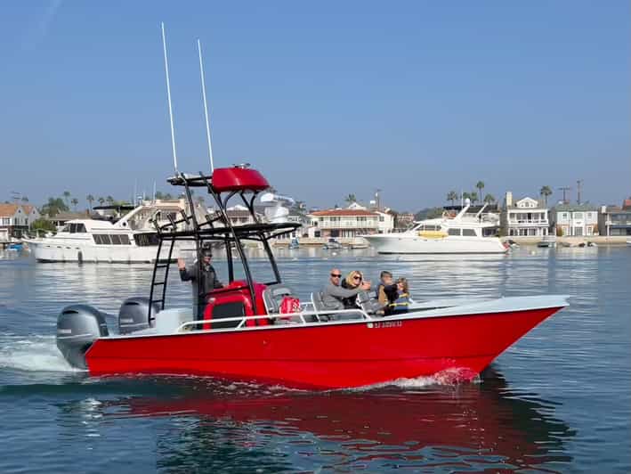 Superior 2hr Private Whale & Dolphin Watching Newport Beach - Close viewing without a crowded rail