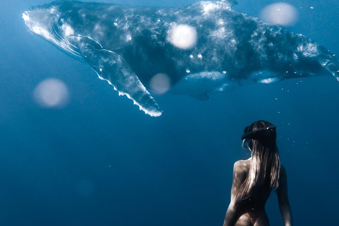 Swimming with Whales in Moorea (Half Day tour) - Life jackets, wetsuits, and what to bring