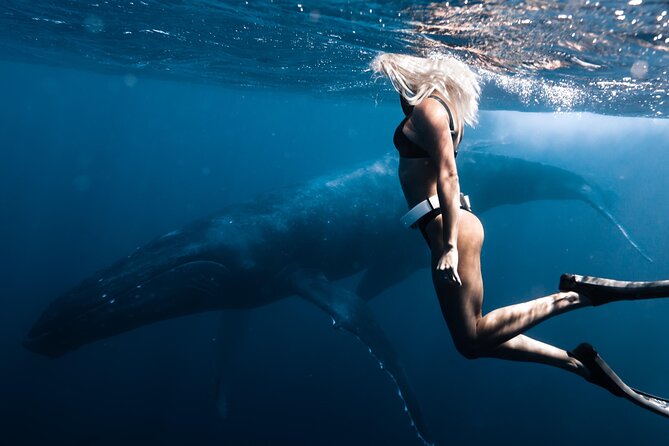 Swimming with Whales in Moorea (Half Day tour) - Who should book this Moorea whale swim