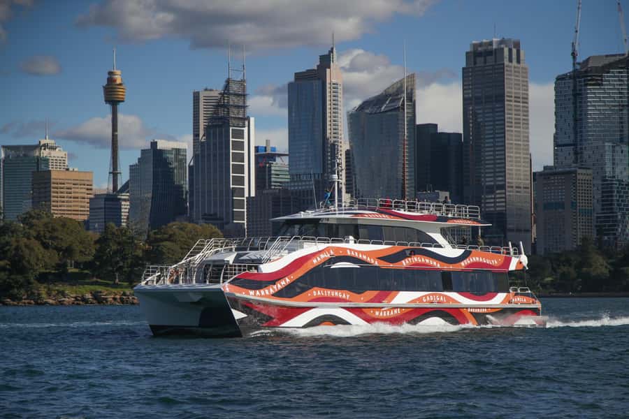 Sydney: 2-hour Express Whale Watching Cruise - Dolphins, seals, and the extra surprises