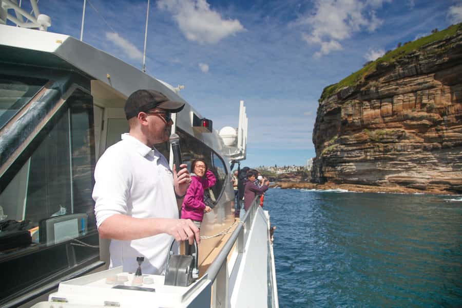 Sydney: Discovery Whale Watching Tour by Catamaran - Onboard comfort, drinks, and photographs