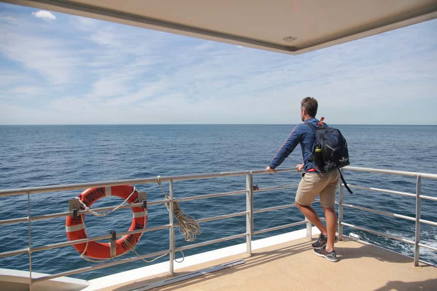 Sydney: Discovery Whale Watching Tour by Catamaran - How rough is the ride?