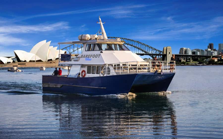 Sydney: Scenic Whale Watching Cruise - Whales Guaranteed - When to book, and what to wear