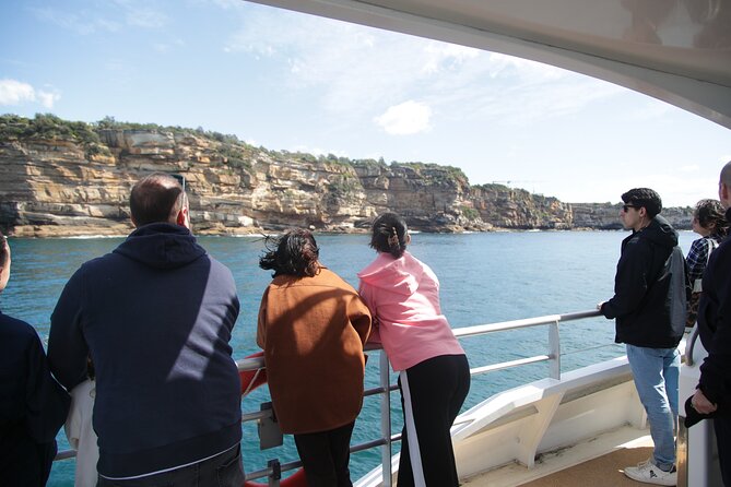 Sydney Whale Watching - 2.5hr Discovery Cruise - Morning or afternoon: choosing the better departure