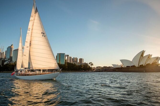 Sydney Whale Watching - 2.5hr Discovery Cruise - A closer look at the 2.5-hour route