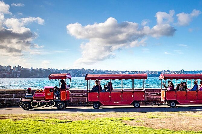 Sydney Whale Watching Adventure Cruise - Should you book Sydney Whale Watching Adventure Cruise?