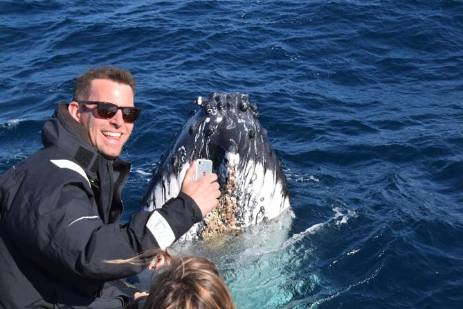 Sydney Whale-Watching by Speed Boat - Timing, cancellation, and useful planning tips