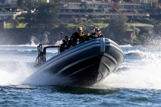Sydney Whale Watching on Small RIB - Why the 12-seat RIB changes the experience