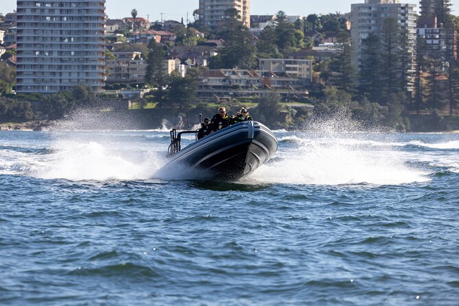 Sydney Whale Watching on Small RIB - Sydney Heads and the move to open water