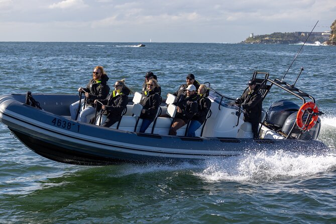 Sydney Whale Watching on Small RIB - The main search, about 85 minutes with the crew