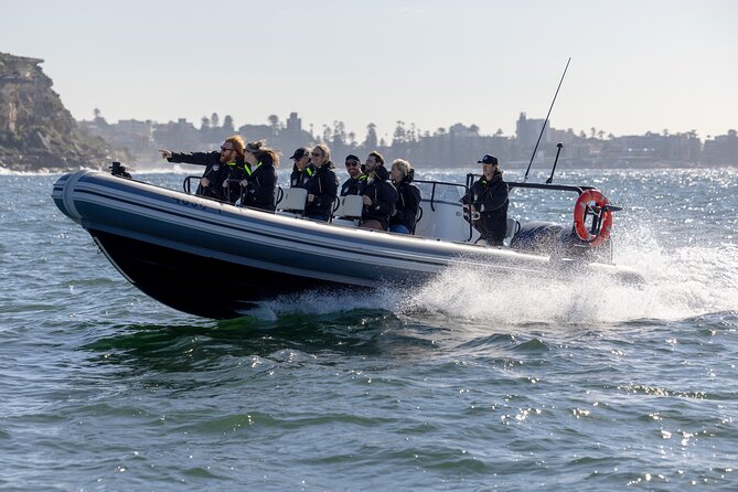 Sydney Whale Watching on Small RIB - The return ride and the last 20 minutes