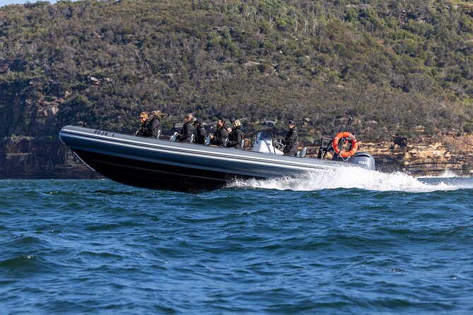 Sydney Whale Watching on Small RIB - Price, group size, and what you receive for $98.93