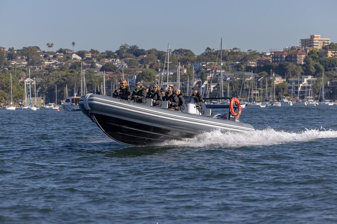 Sydney Whale Watching on Small RIB - Who should book this RIB trip