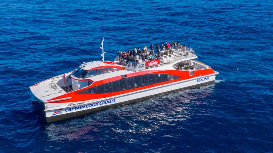 Sydney: Whale Watching & Wildlife Cruise - Indoor comfort and outdoor whale watching