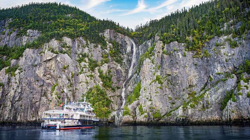 Tadoussac/Charlevoix: 3-Hour Whale Watching Boat Tour - Is the VIP or Upper Deck upgrade worth it?