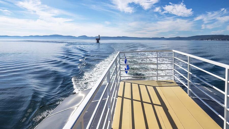 Tadoussac/Charlevoix: VIP Lounge OR UpperDeck Whale Watching - Departure advice for Tadoussac and Charlevoix