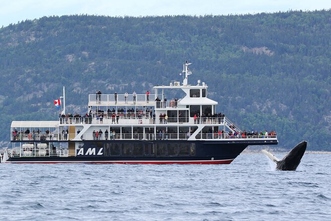 Tadoussac/Charlevoix: Whale Watching Tour - Key points before you book