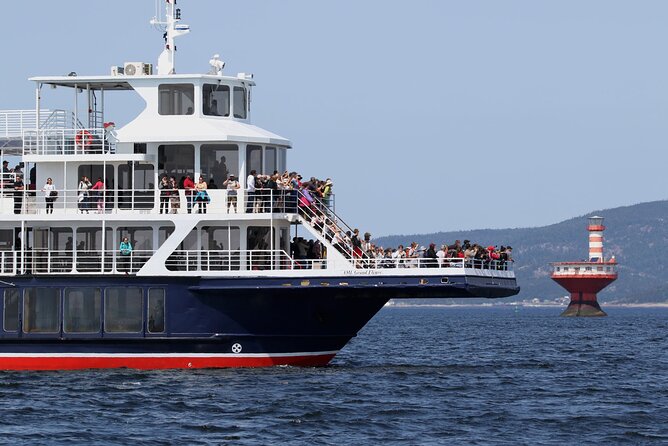 Tadoussac/Charlevoix: Whale Watching Tour - Guides, commentary, and communication