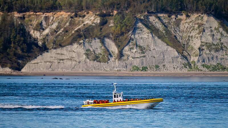 Tadoussac/Charlevoix: Whale Watching Tour & Bear Observation - Is $144 a fair price?