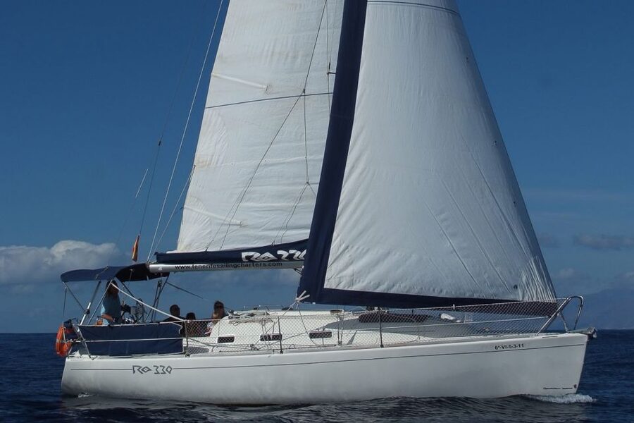 Tenerife: 3 &-6 Hour Private Whale & Dolphin Watching - Food, drinks, and the feel of a private charter