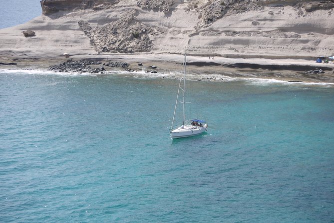 Tenerife 3-Hour Discover Whales and Dolphins - Setting out from Puerto Colón at Costa Adeje