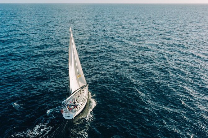 Tenerife 3-Hour Discover Whales and Dolphins - La Caleta de Adeje for swimming and snorkeling