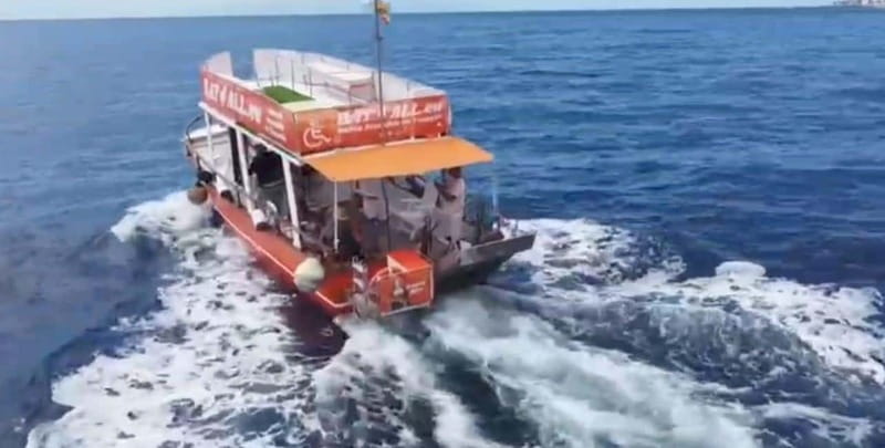 Tenerife: Accessible Whale Watching & Ocean Experience - Practical details before you book