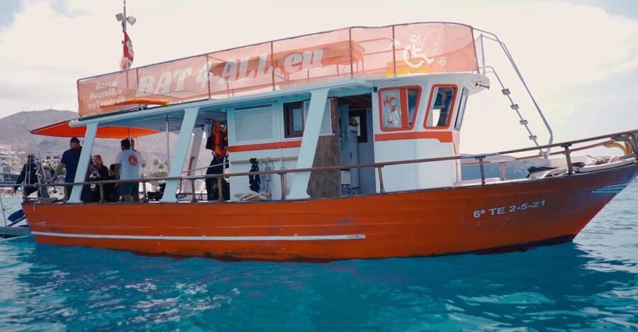 Tenerife: Accessible Whale Watching & Ocean Experience - Who should book this Tenerife boat trip