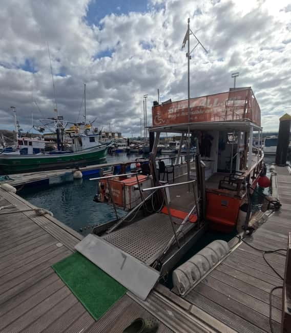 Tenerife: Accessible Whale Watching & Ocean Experience - Three hours along Tenerife’s southern coast
