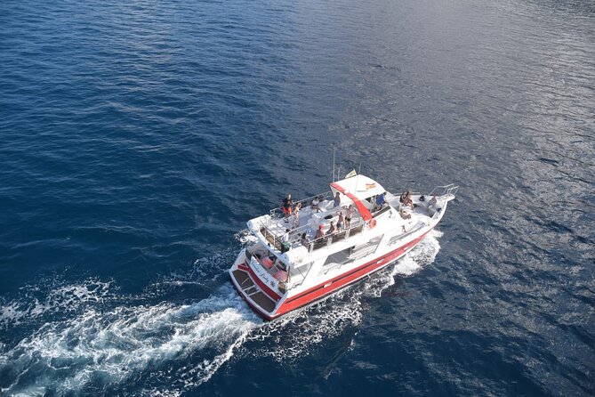 Tenerife Los Cristianos: Whale and Dolphin Eco-Yacht and Swim Stop - How long the experience really feels