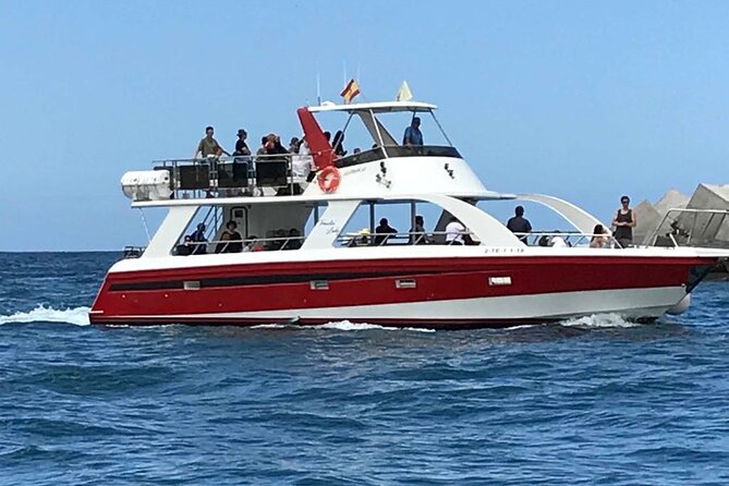 Tenerife Los Cristianos: Whale and Dolphin Eco-Yacht and Swim Stop - Is it suitable for children and older family members?