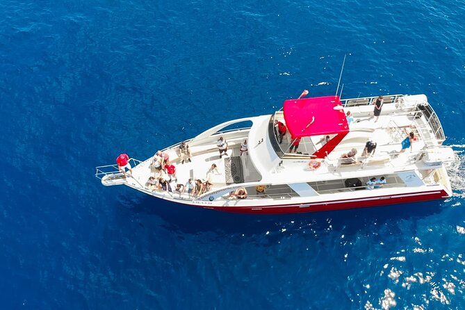 Tenerife Los Cristianos: Whale and Dolphin Eco-Yacht and Swim Stop - Looking for pilot whales, dolphins, and turtles