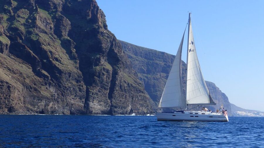 Tenerife: Los Gigantes Whale Watching Cruise by Sail Boat - The boat, group size, and comfort