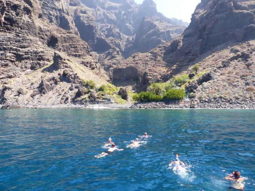 Tenerife: Los Gigantes Whale Watching Cruise by Sail Boat - Is $88 a fair price?