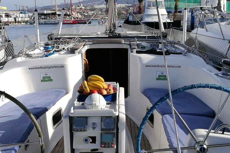 Tenerife: Luxury Private Whale & Dolphin Watching Tour - Looking for dolphins and turtles