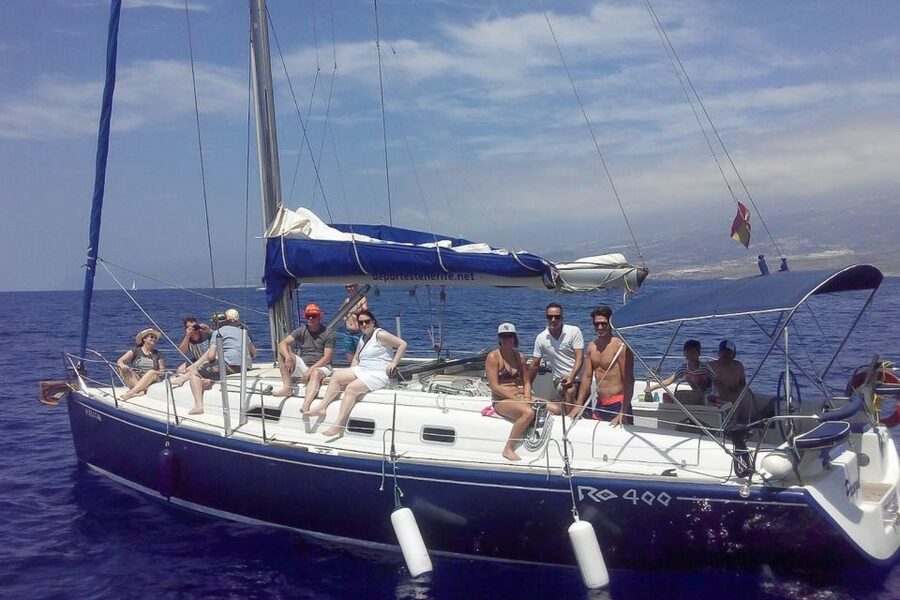 Tenerife: Luxury Private Whale & Dolphin Watching Tour - The secluded bay and time in the water