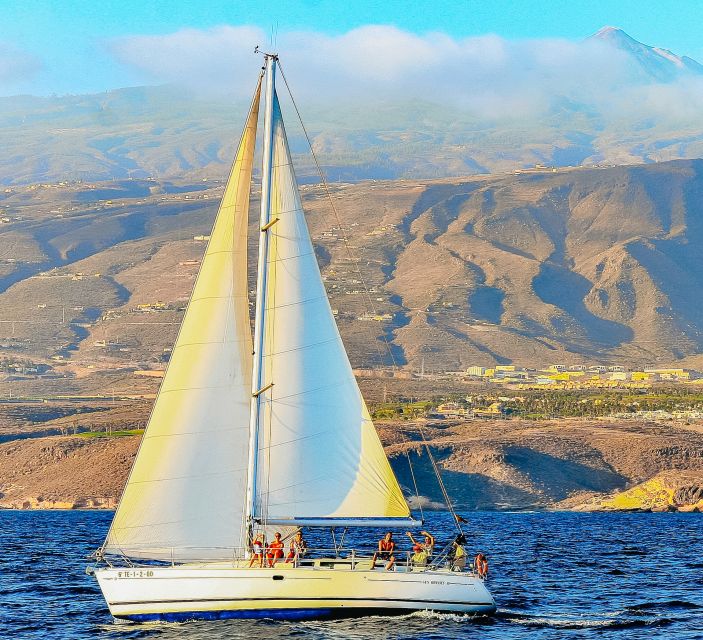 Tenerife: Sailboat Tour Whale Watching Food and Snorkeling - Looking for pilot whales and dolphins
